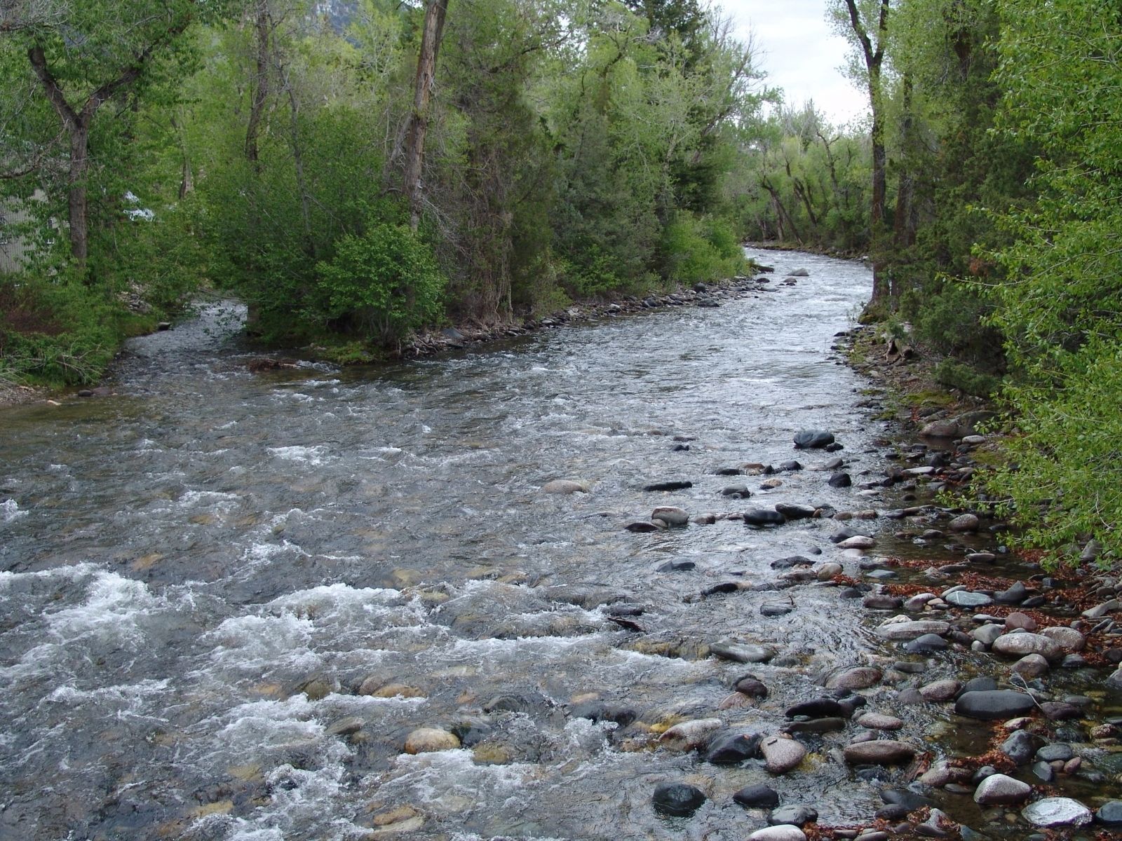 Mill Creek A view from the footbridge in our front yard
