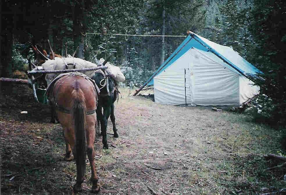 Blacktail Archery Camp