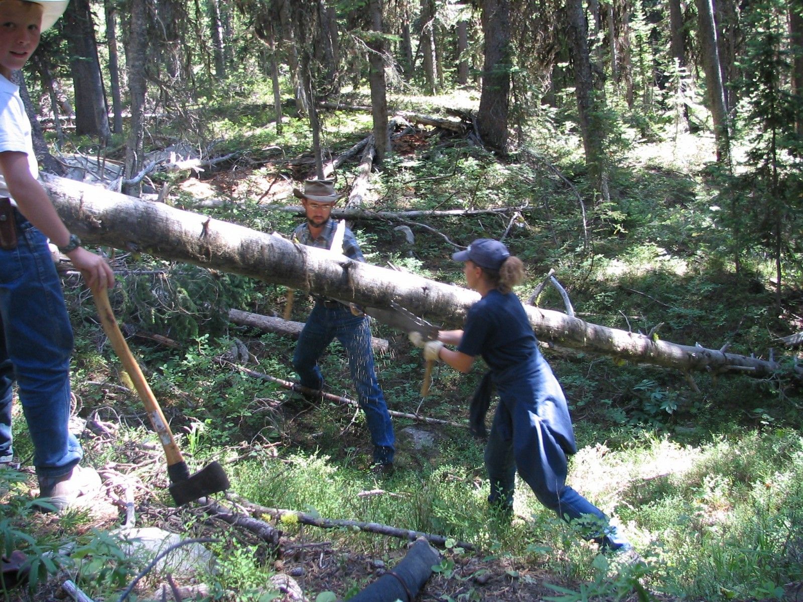 Hauling logs