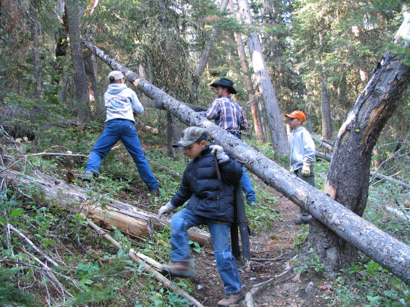 No chainsaws allowed in the wilderness