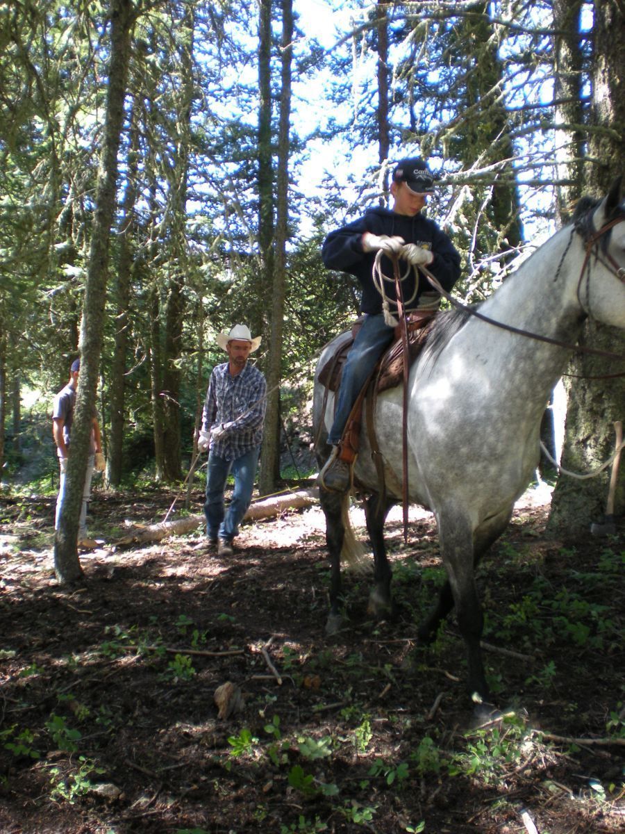 Rifle Elk/Deer Hunts Gallery Image