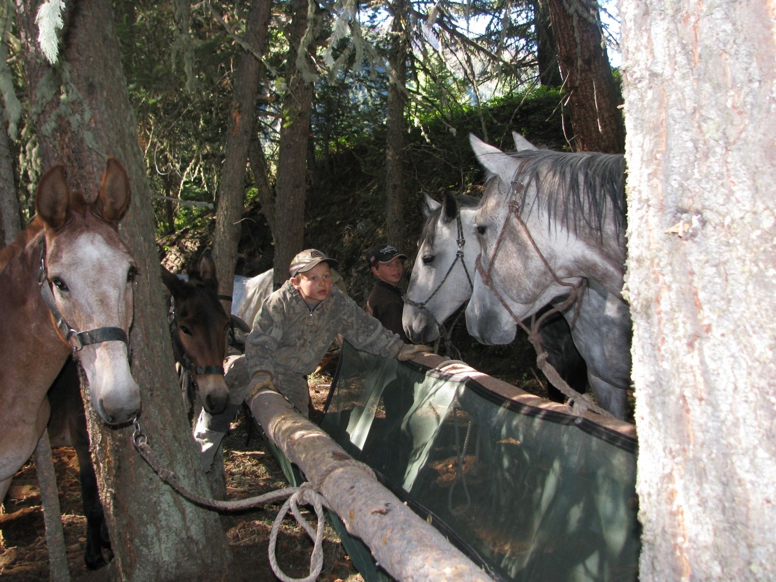 East Fork Camp