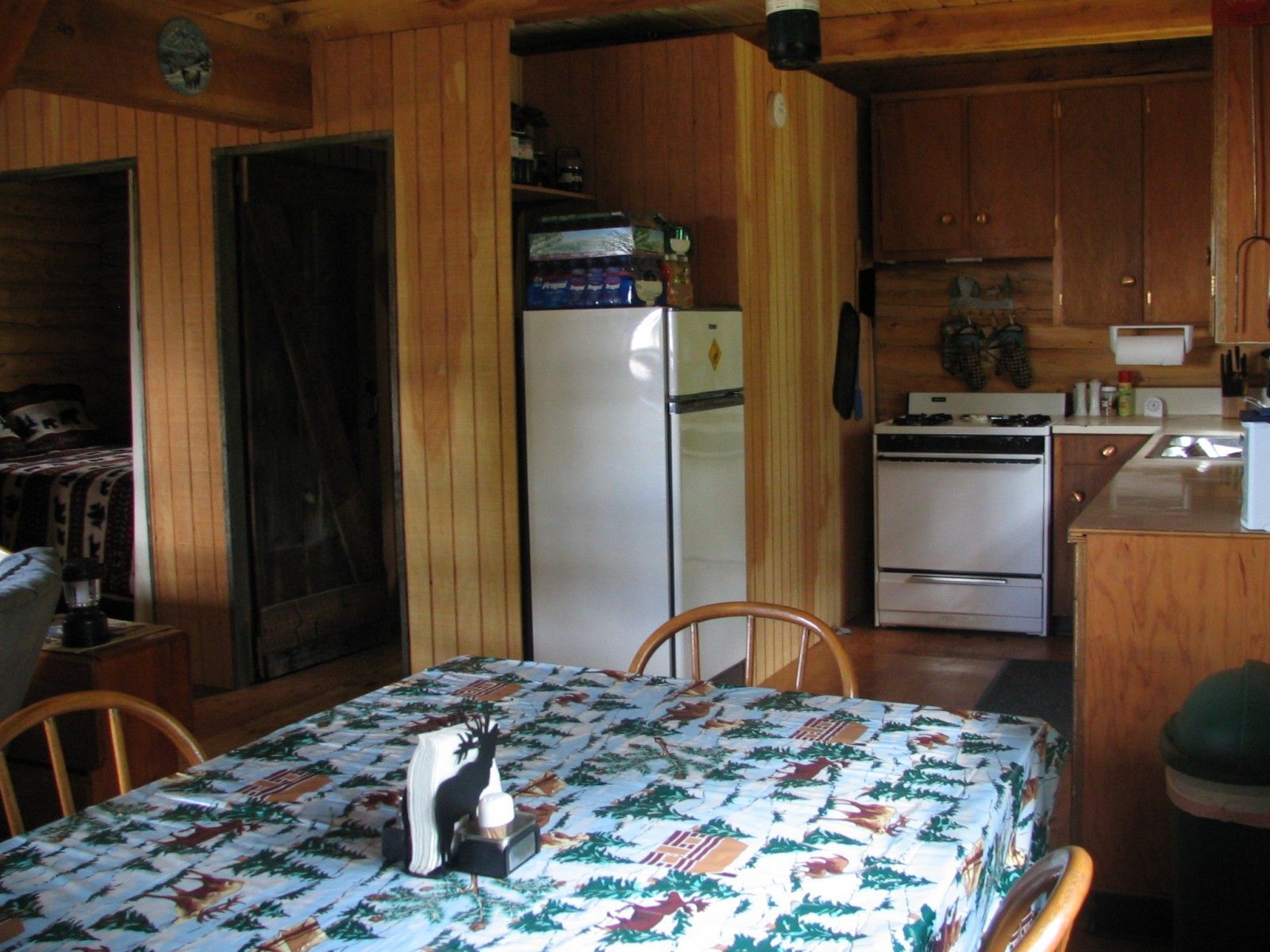 Cabin Kitchen