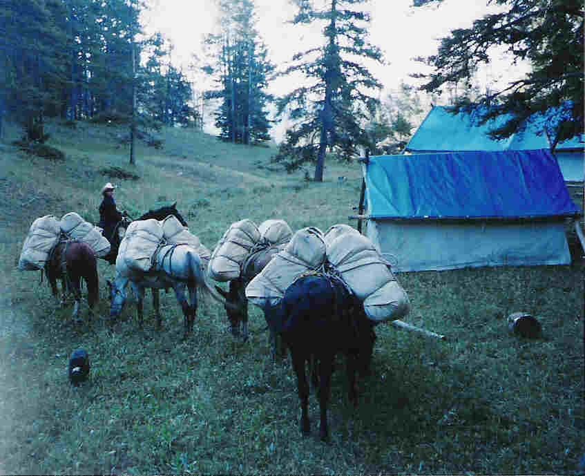 Dena Packing Feed To Sage Creek Camp