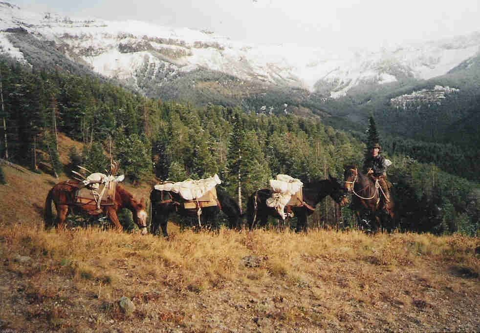 Packing Out An Elk