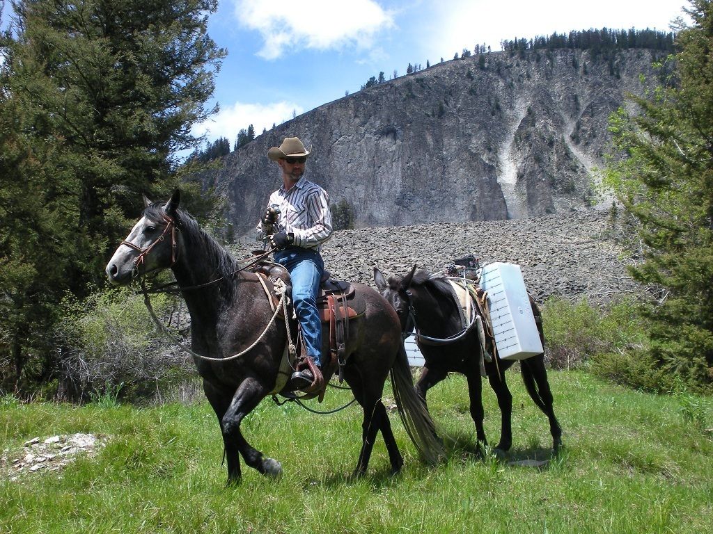 Spraying Weeds