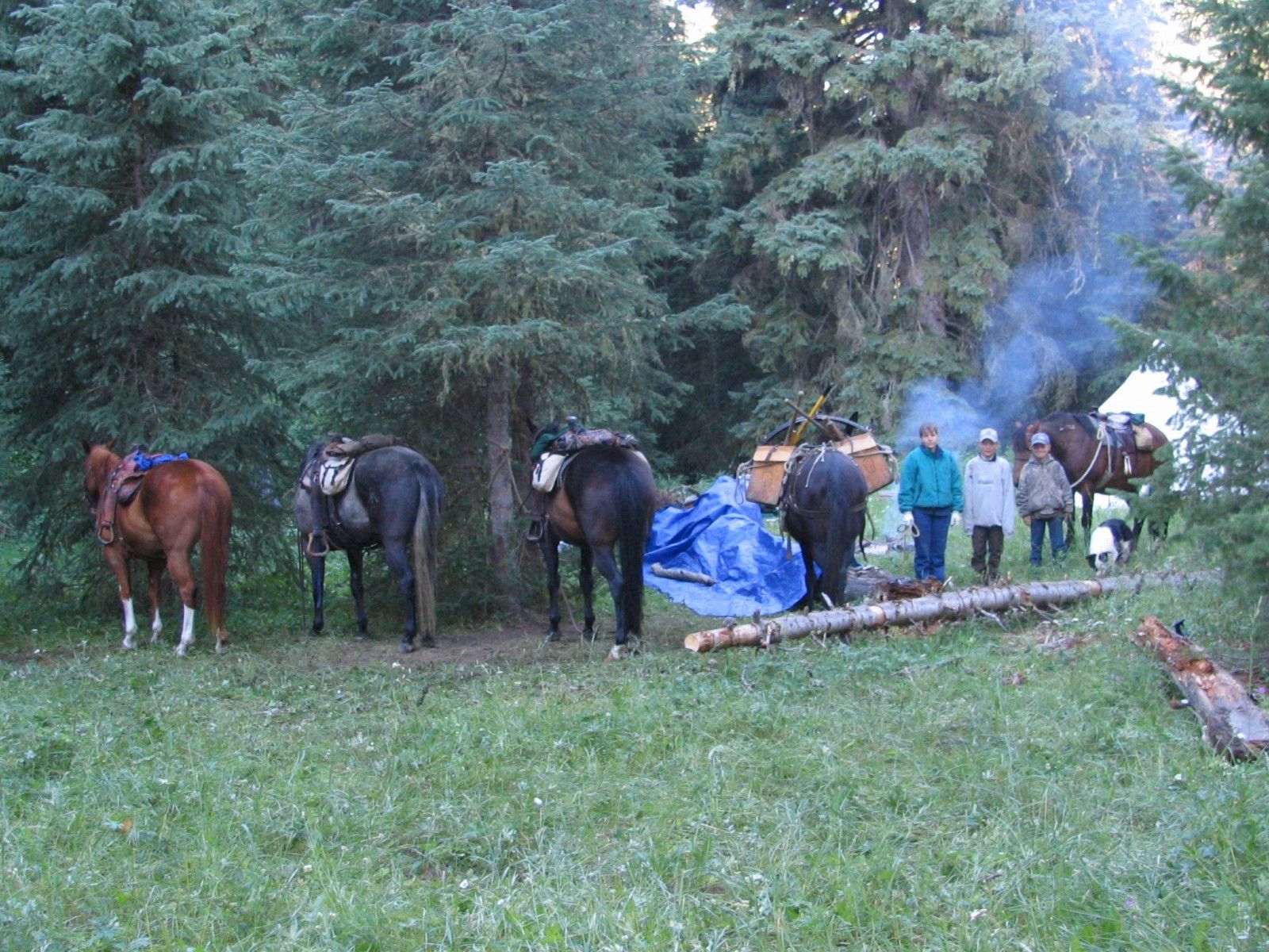 Trail Camp