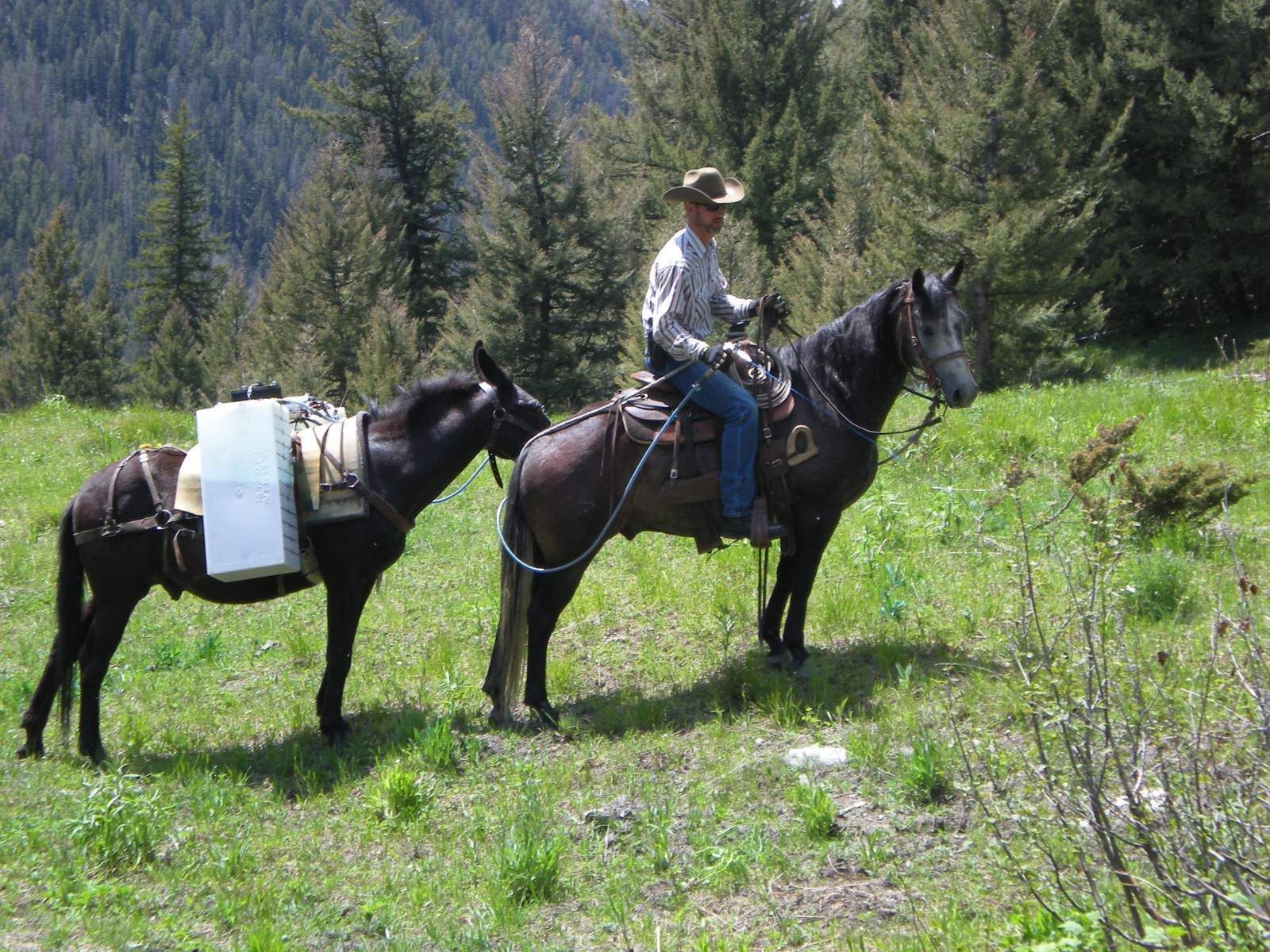 Spraying Weeds in Hard to Reach Places
