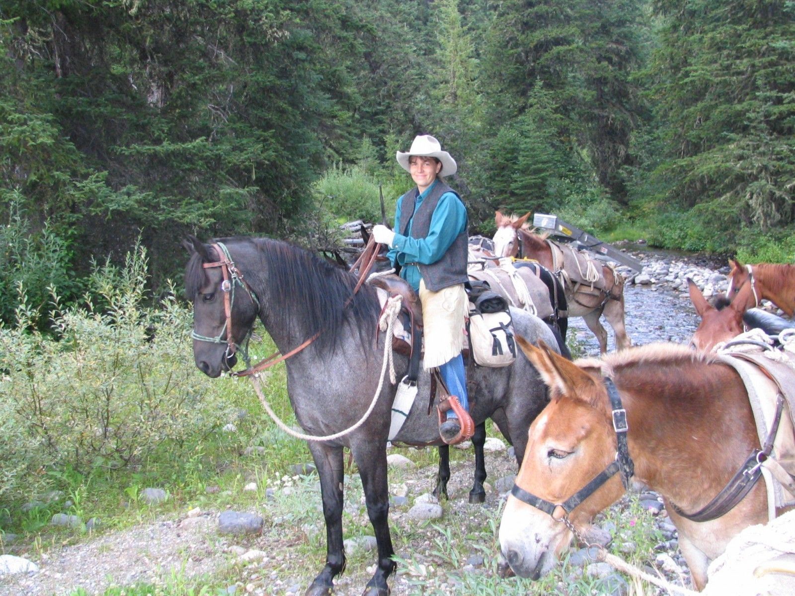 Out on the trail