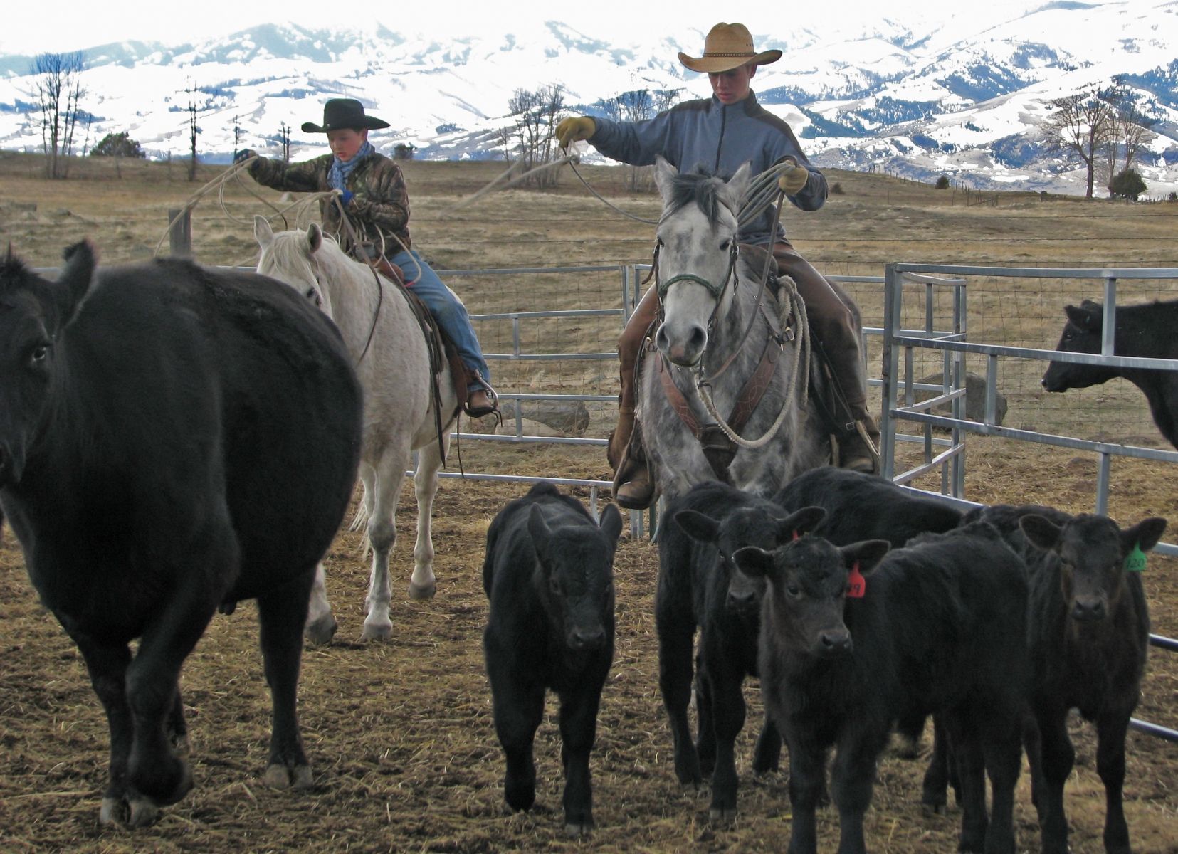Petrich Ranch Photo
