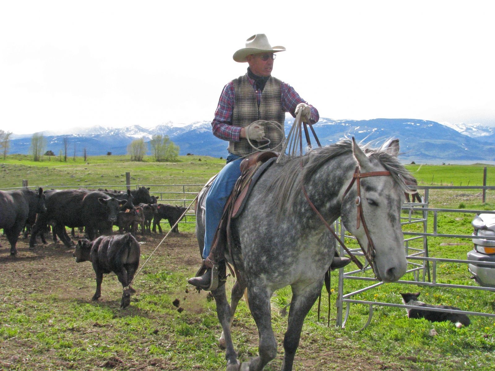 Petrich Ranch Photo