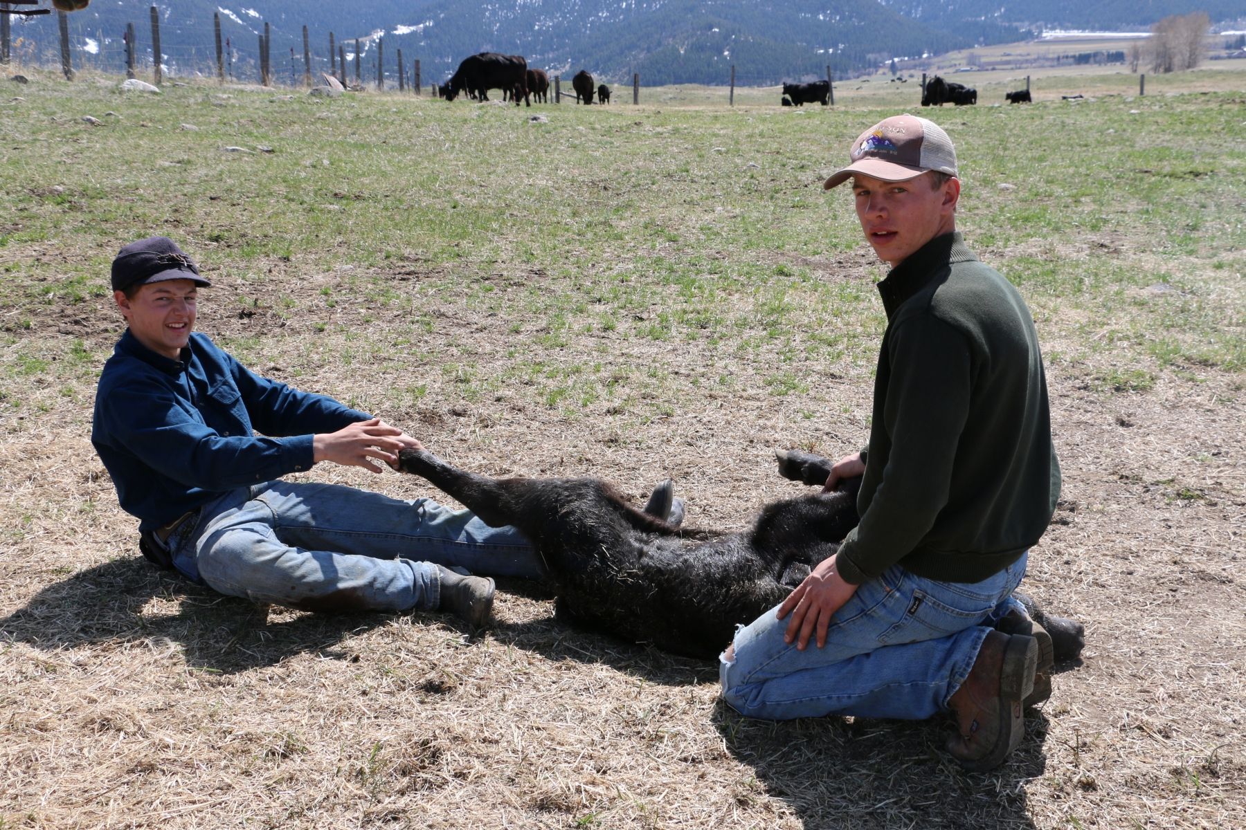 Petrich Ranch Photo