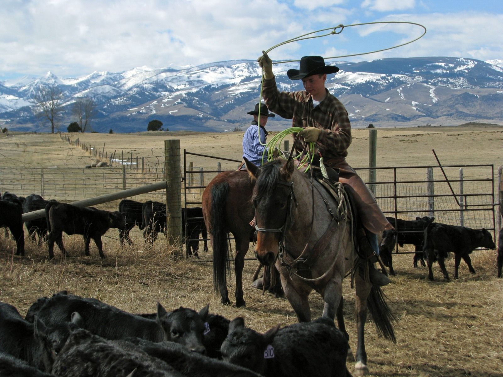 Petrich Ranch Photo