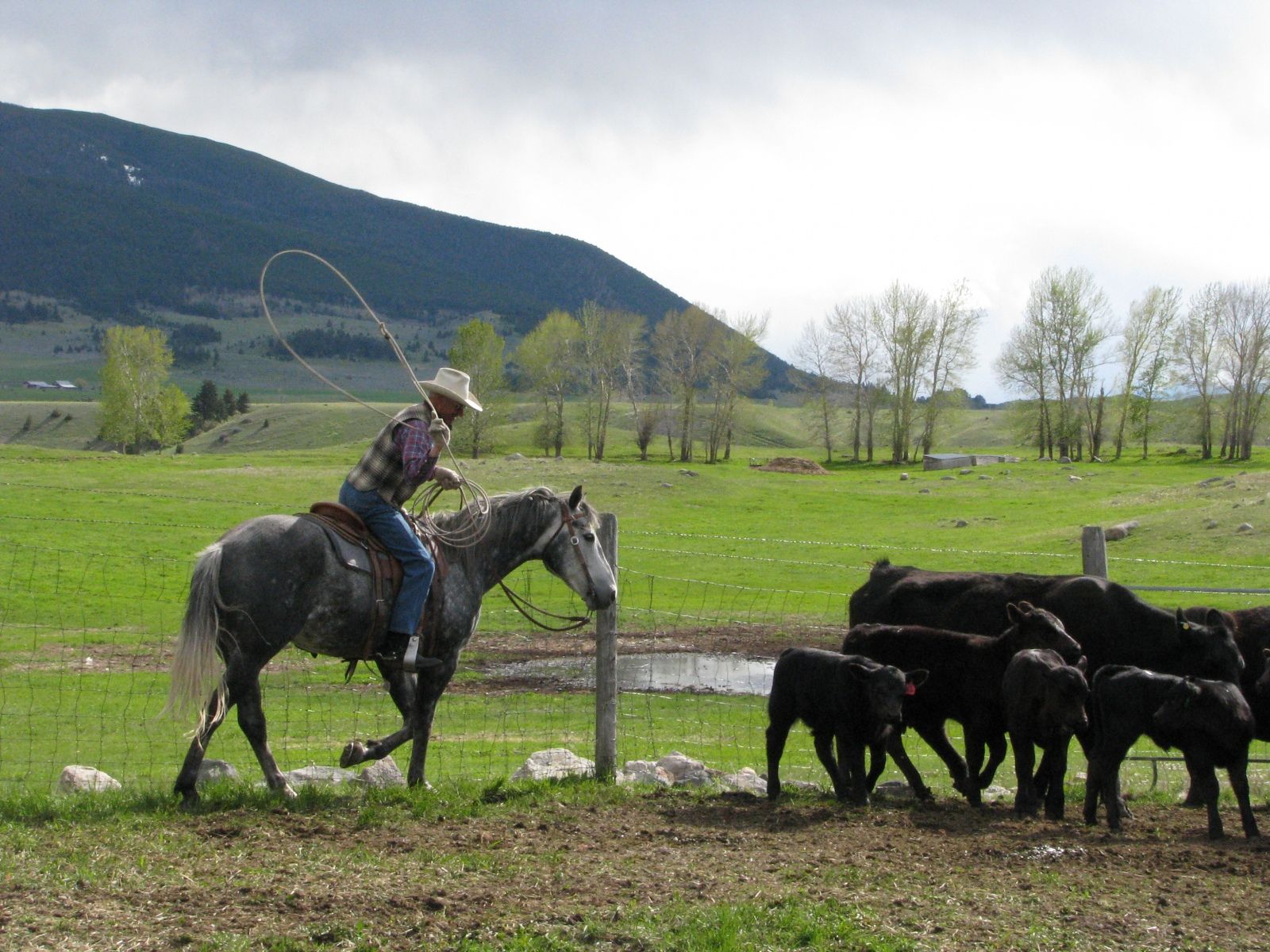 Petrich Ranch Photo