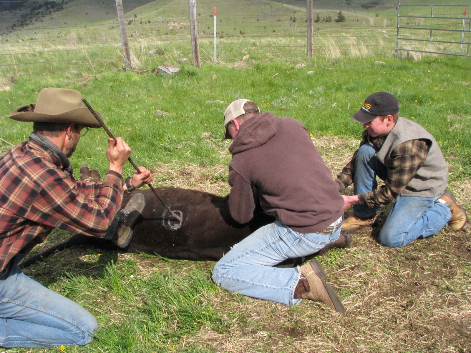 Petrich Ranch Photo