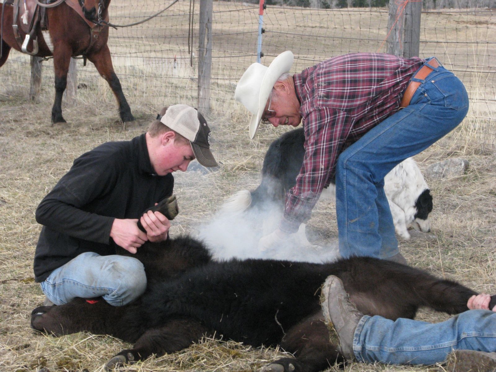 Petrich Ranch Photo