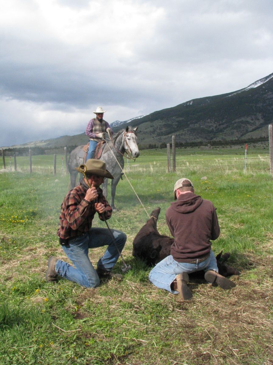 Petrich Ranch Photo