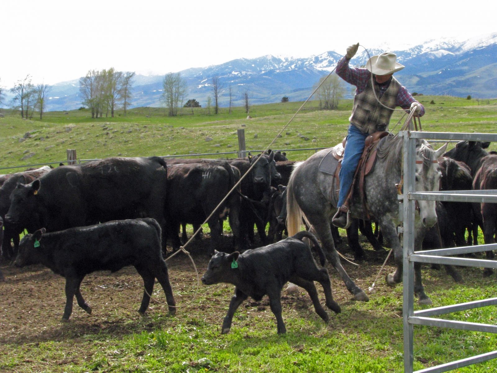 Petrich Ranch Photo