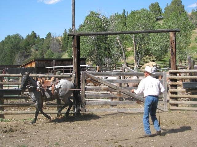 Petrich Ranch Photo