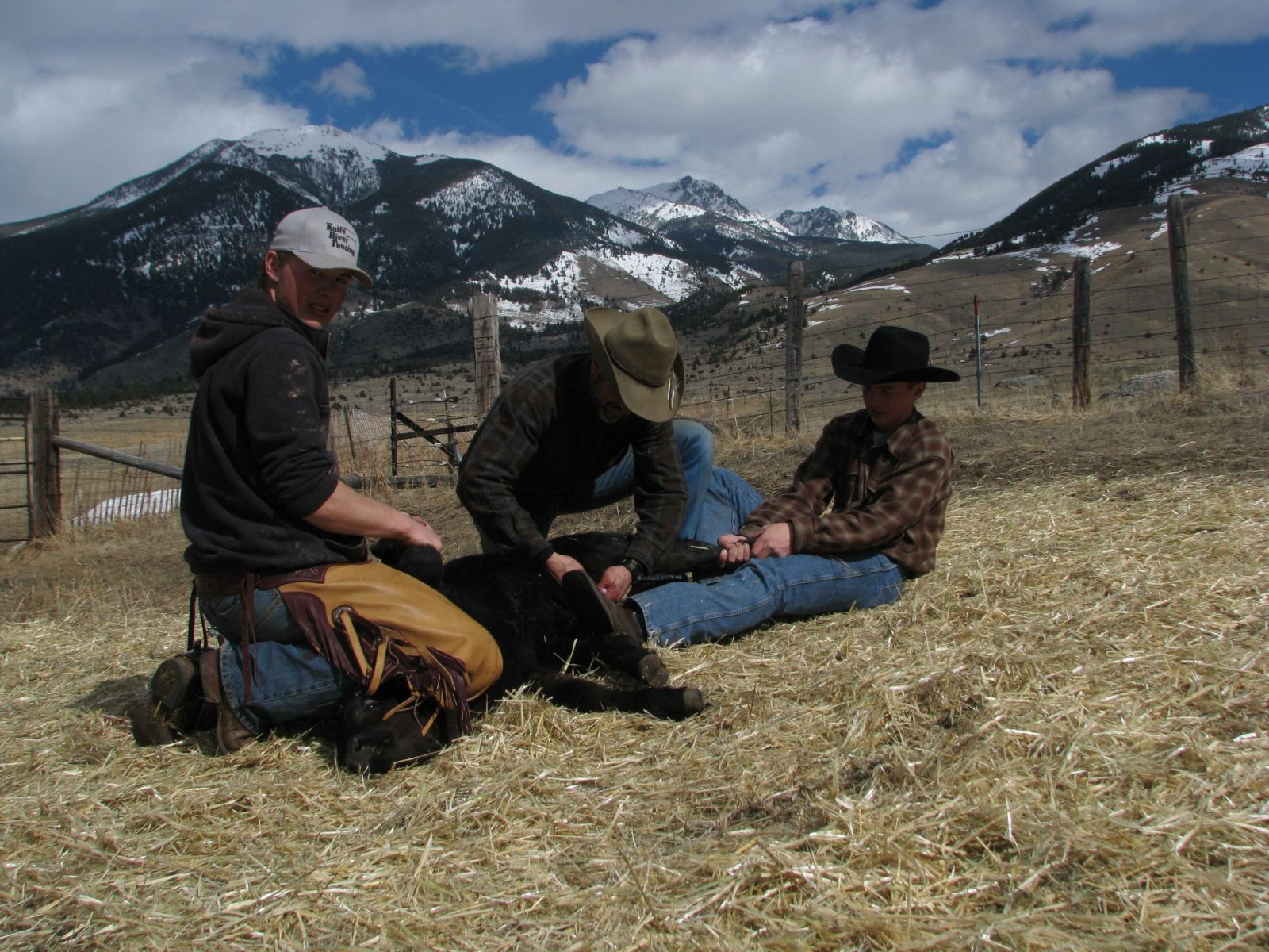 Petrich Ranch Photo