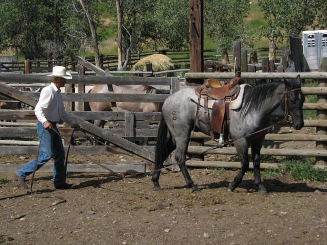 Petrich Ranch Photo