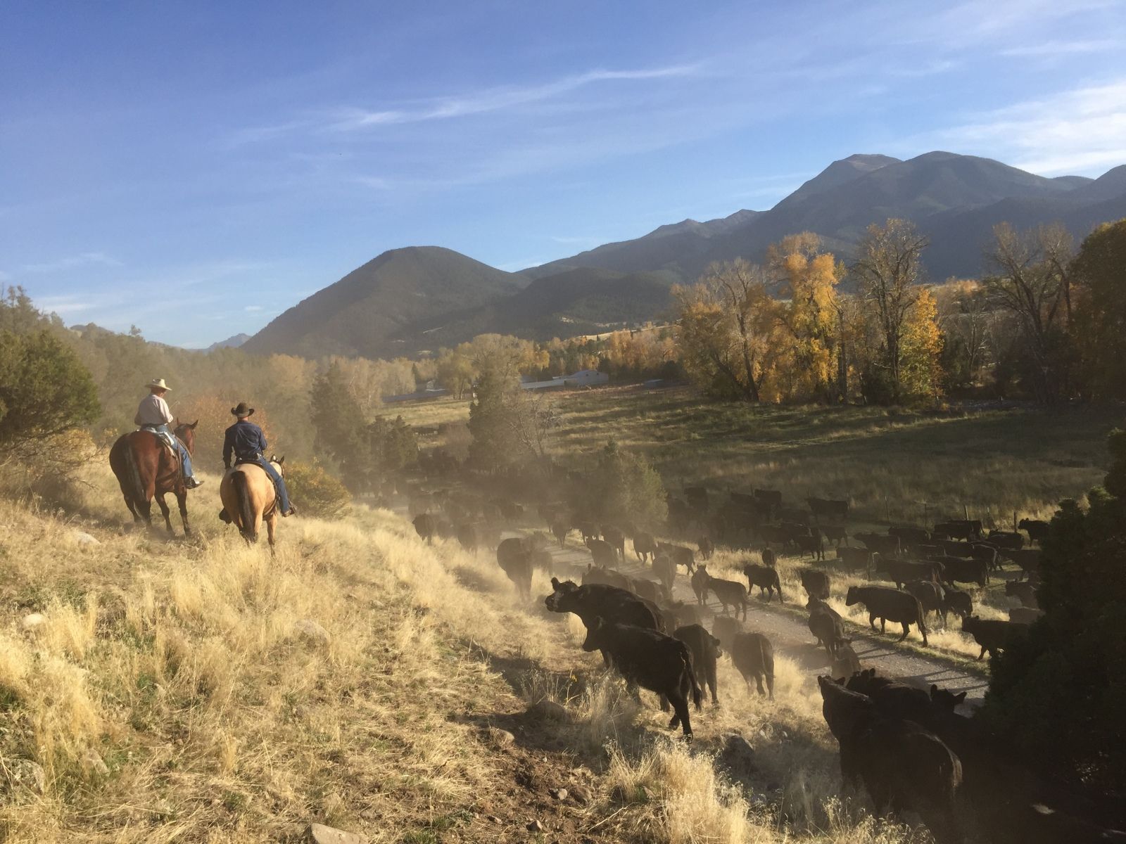Petrich Ranch Photo