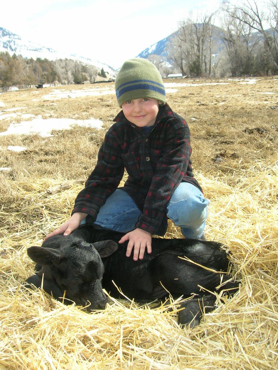Petrich Ranch Photo