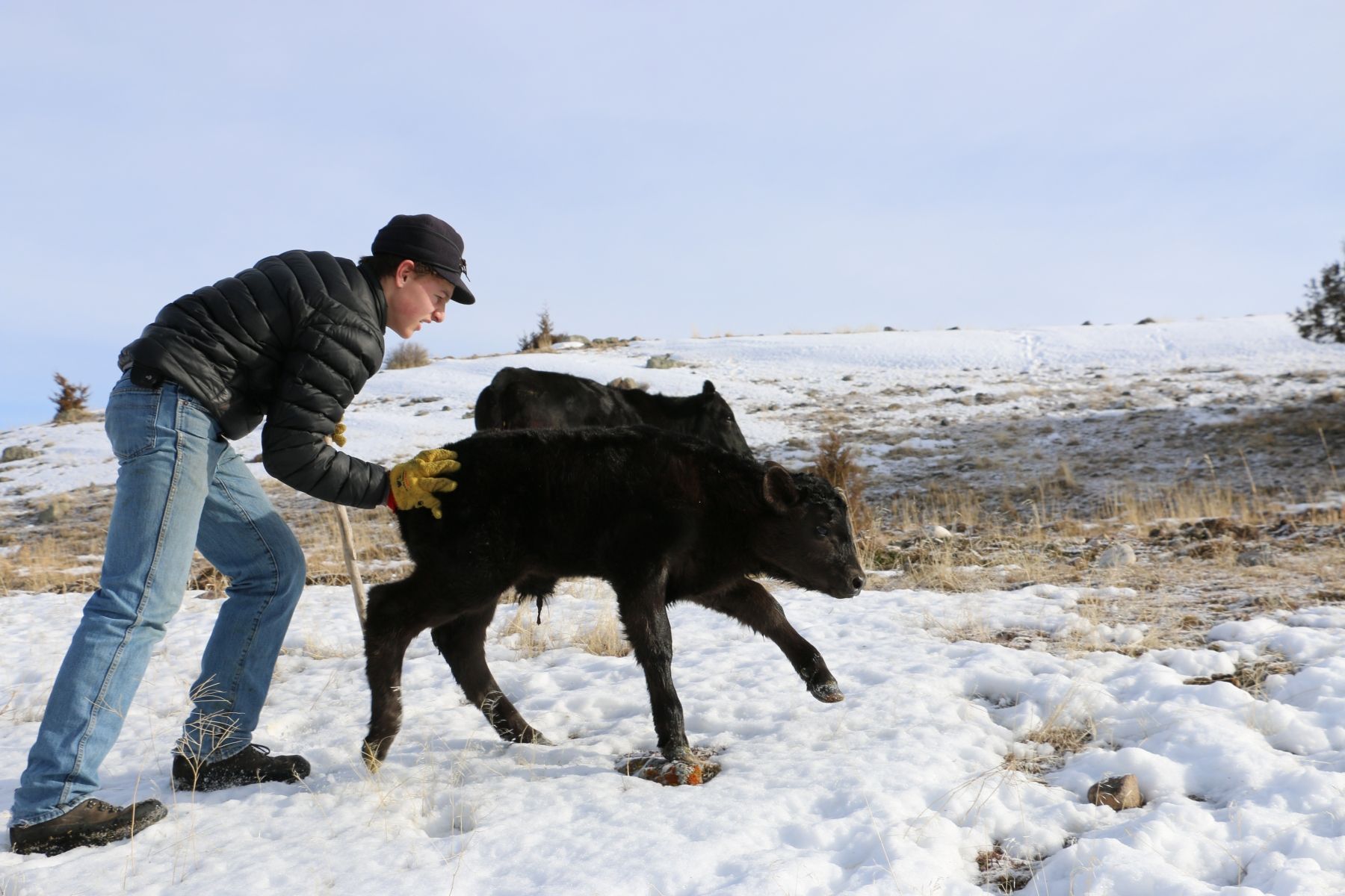 Petrich Ranch Photo