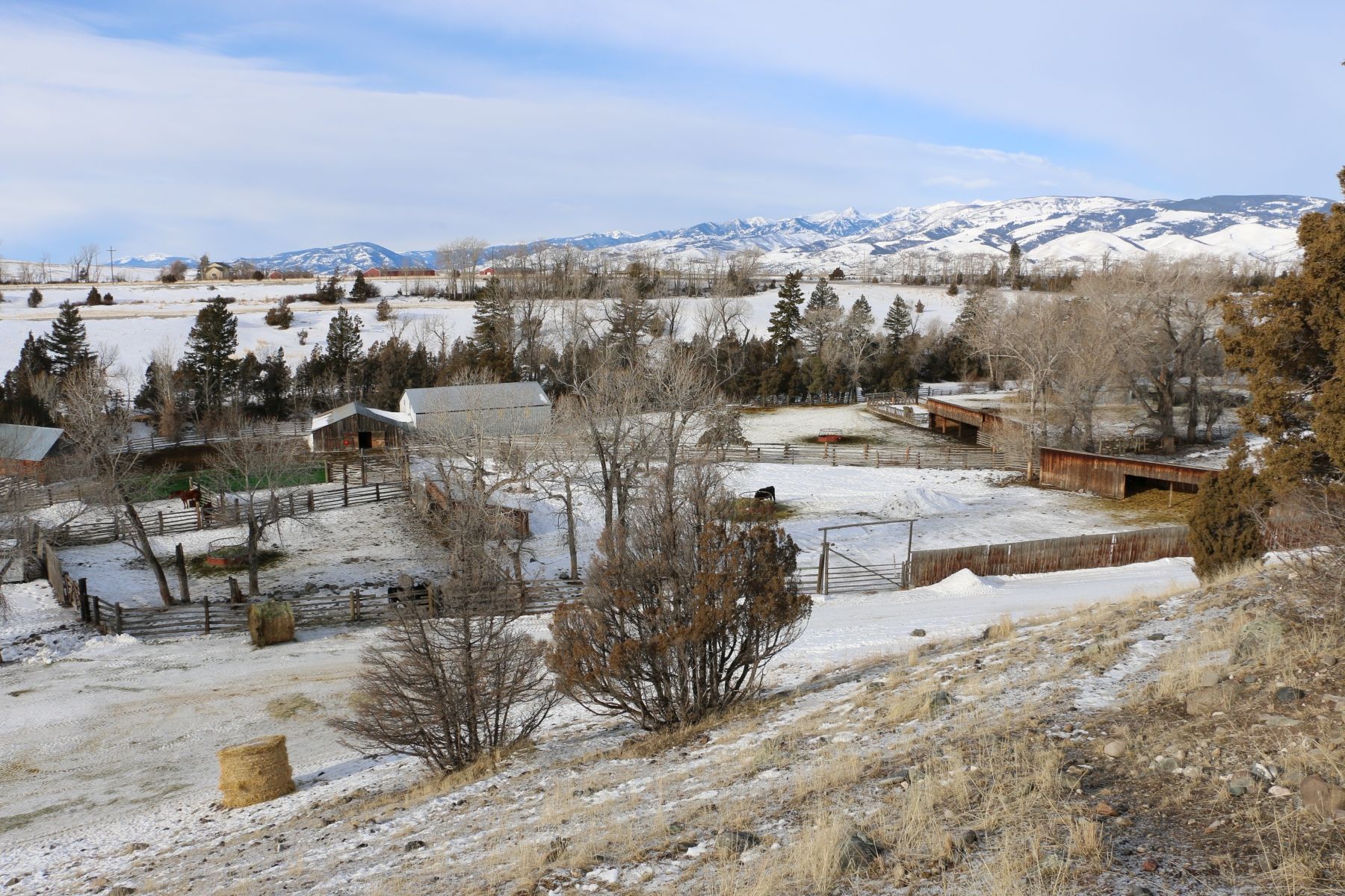 Petrich Ranch Photo
