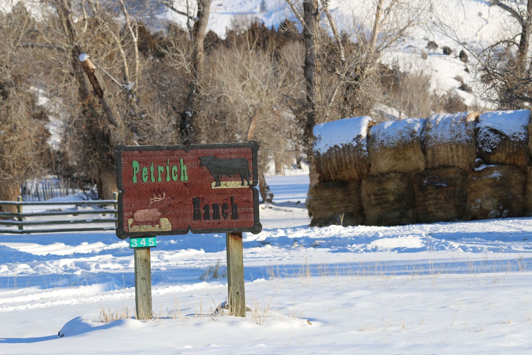 Petrich Ranch Photo