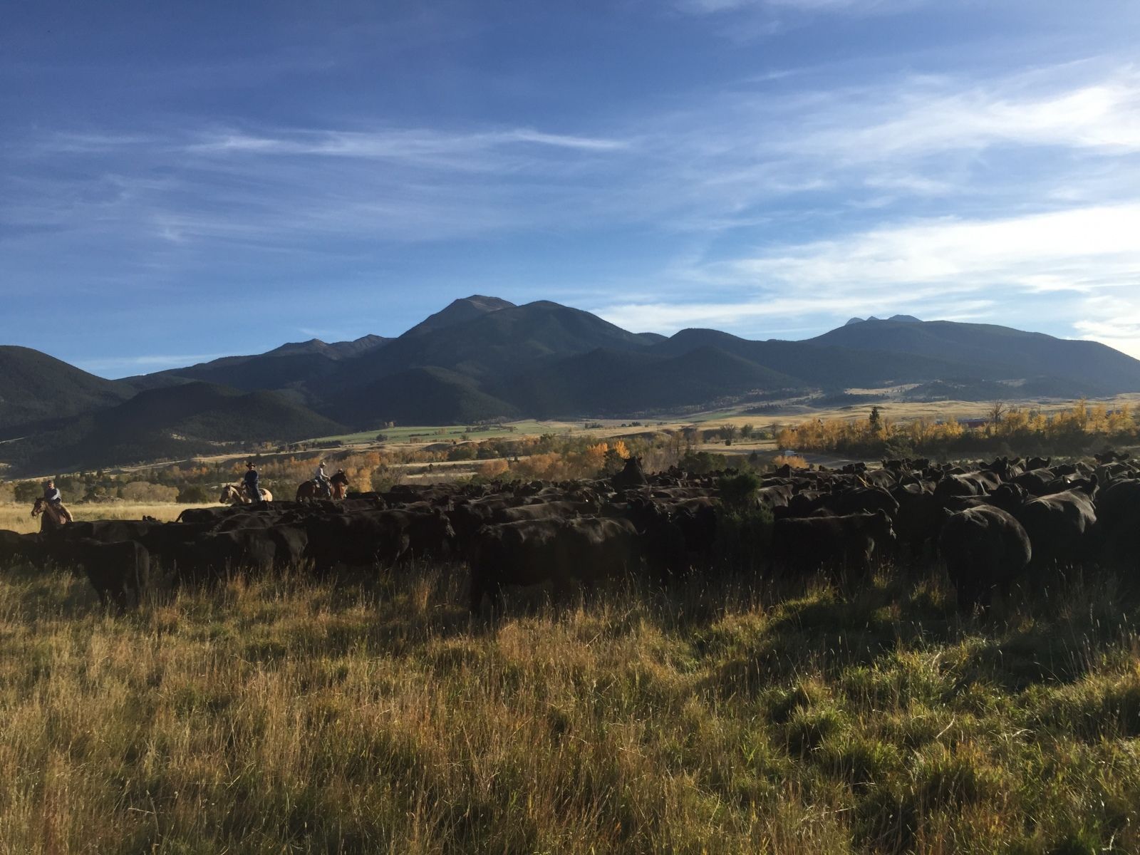 Petrich Ranch Photo
