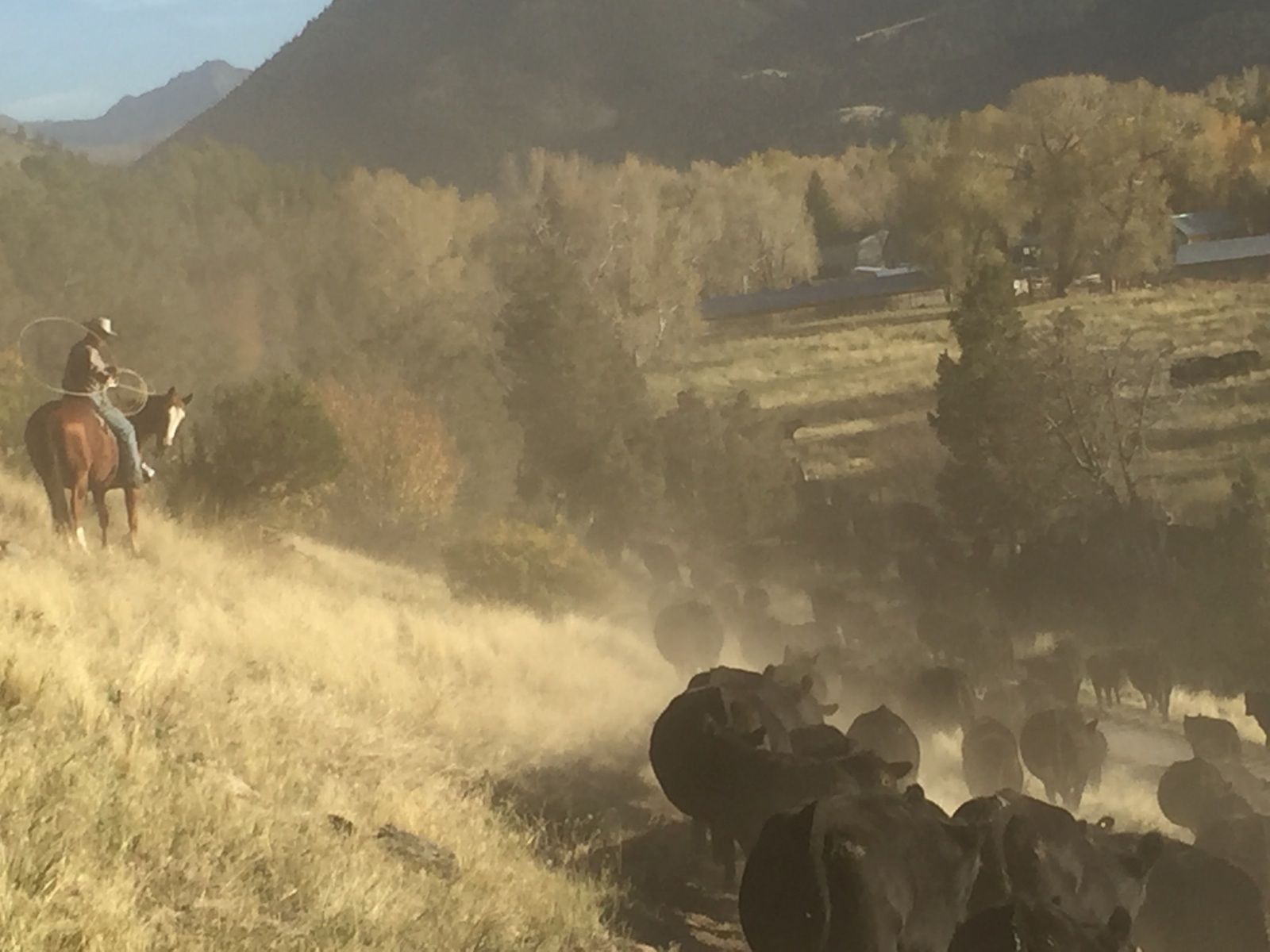 Petrich Ranch Photo