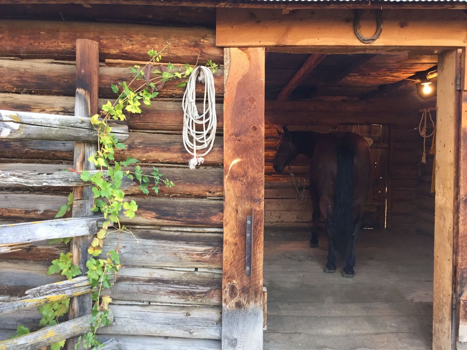 Petrich Ranch Photo