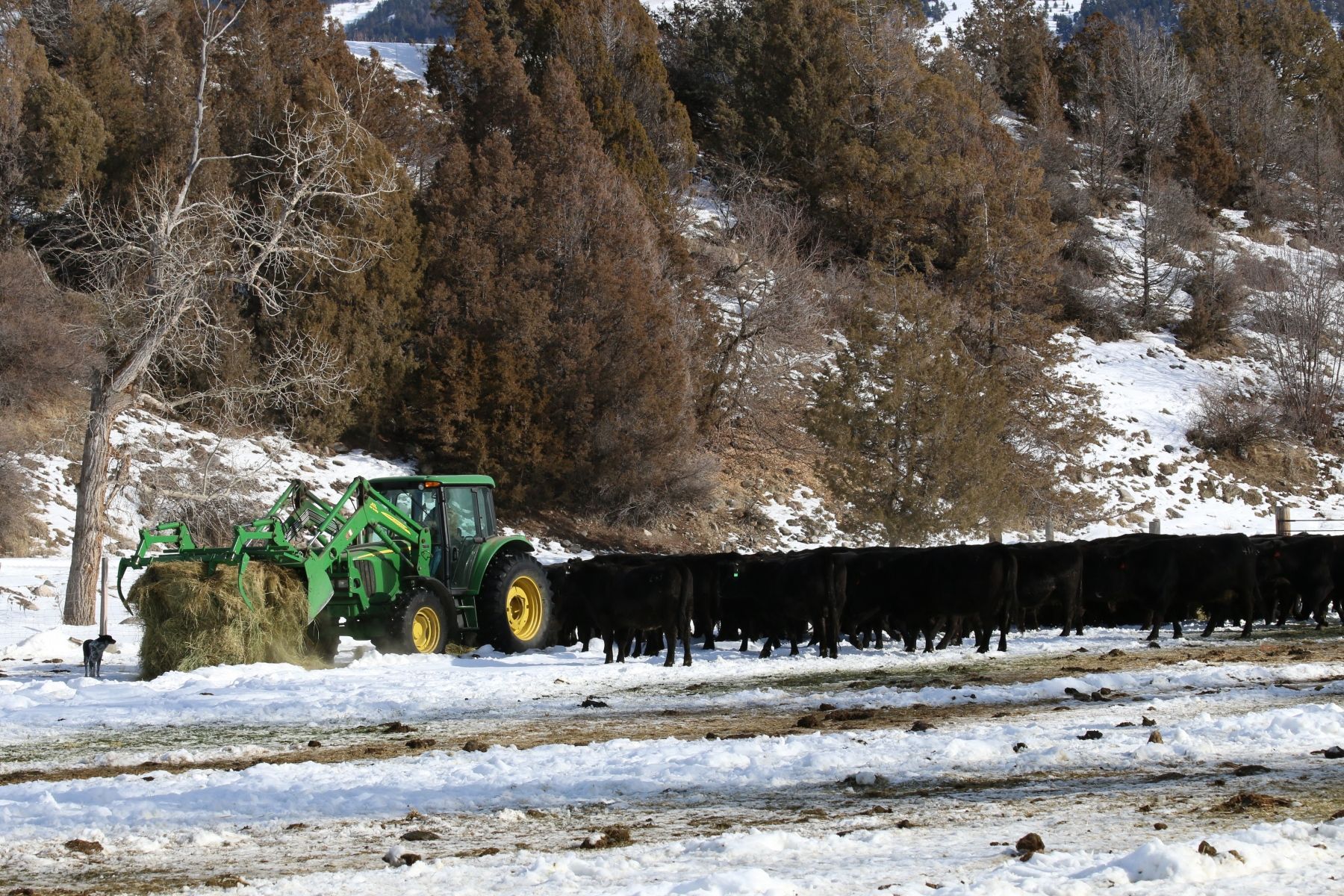 Petrich Ranch Photo