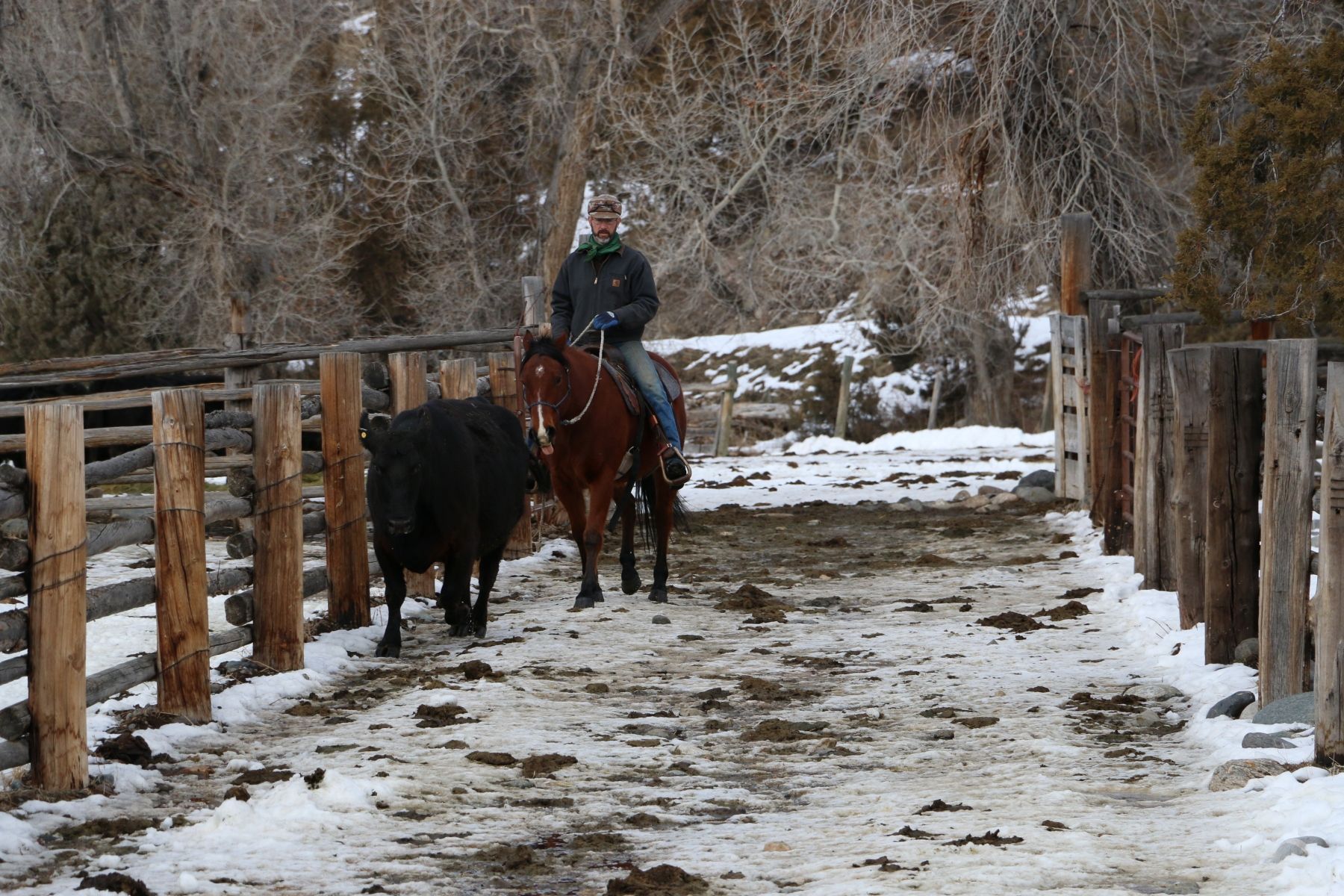 Petrich Ranch Photo