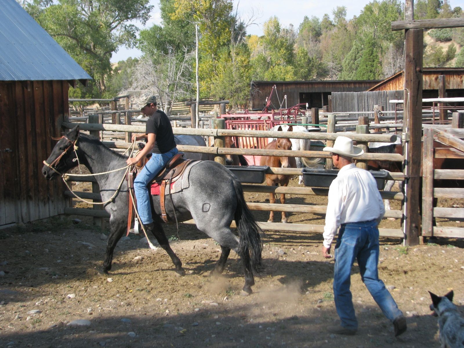 Petrich Ranch Photo