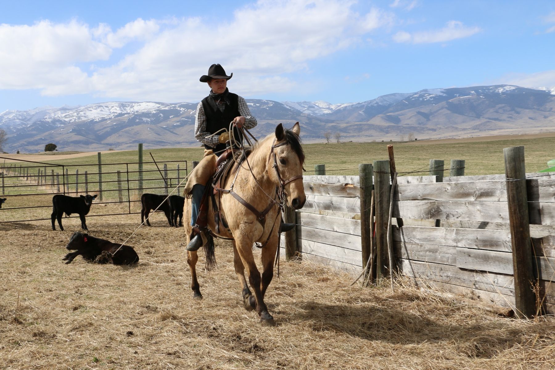 Petrich Ranch Photo