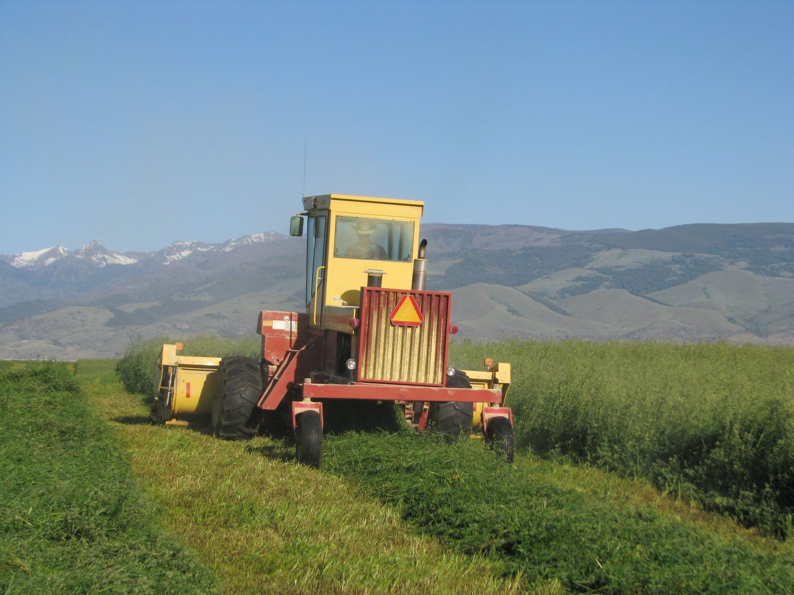 Petrich Ranch Photo