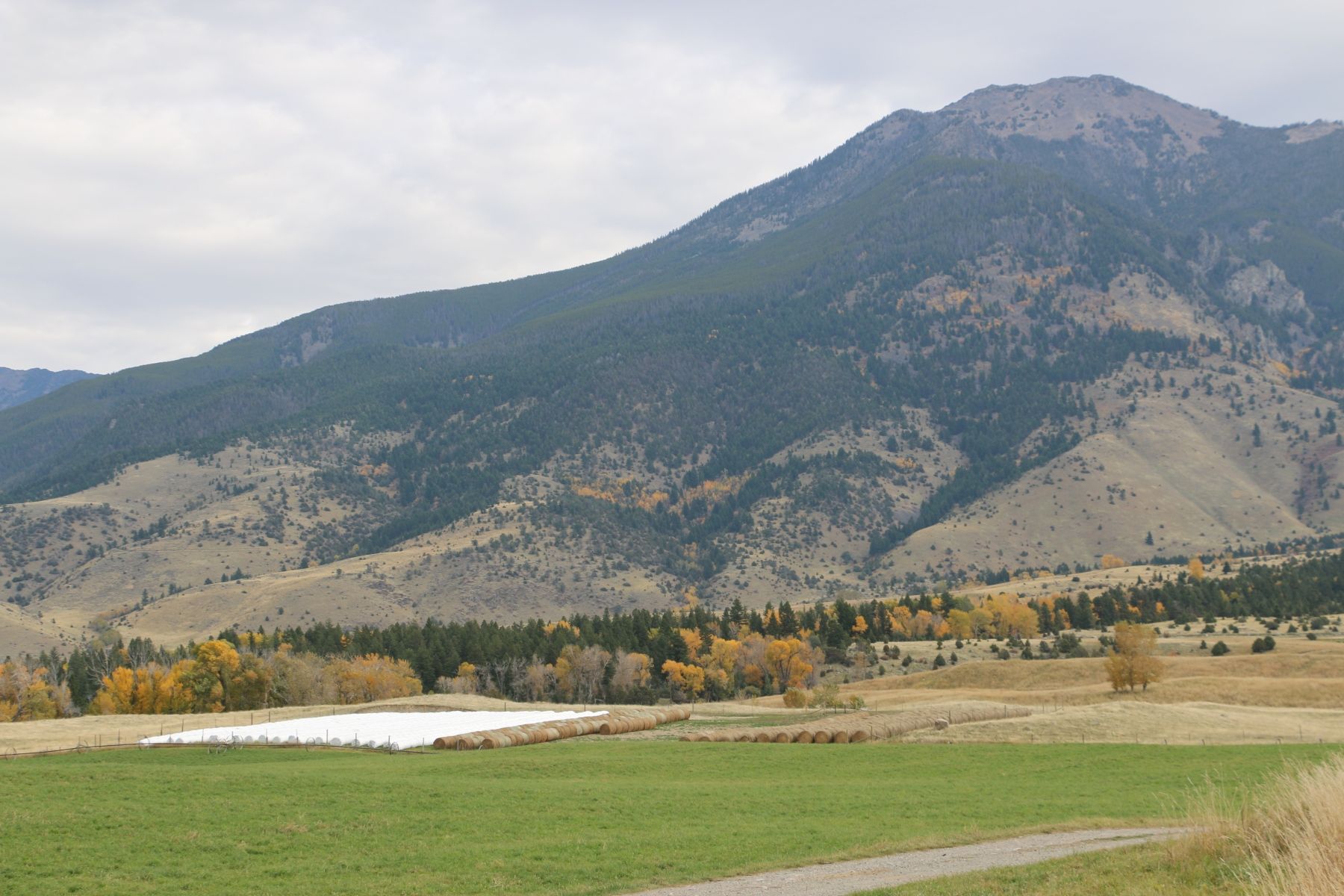 Petrich Ranch Photo
