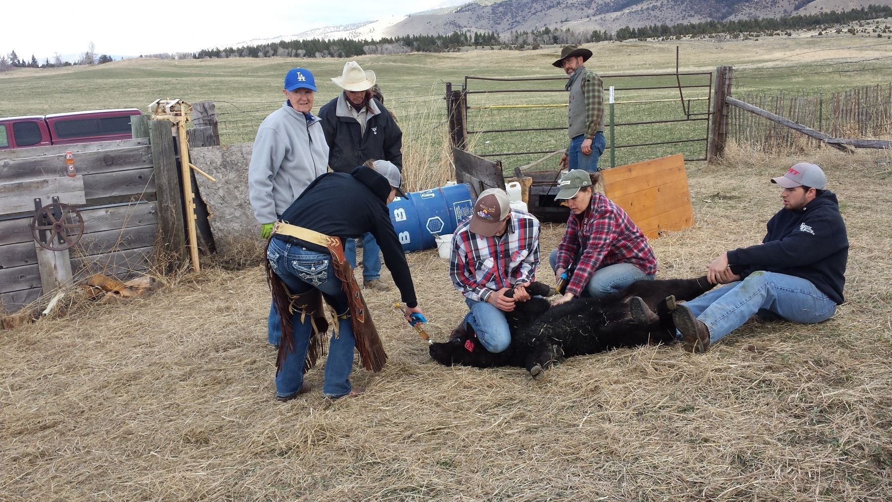 Petrich Ranch Photo
