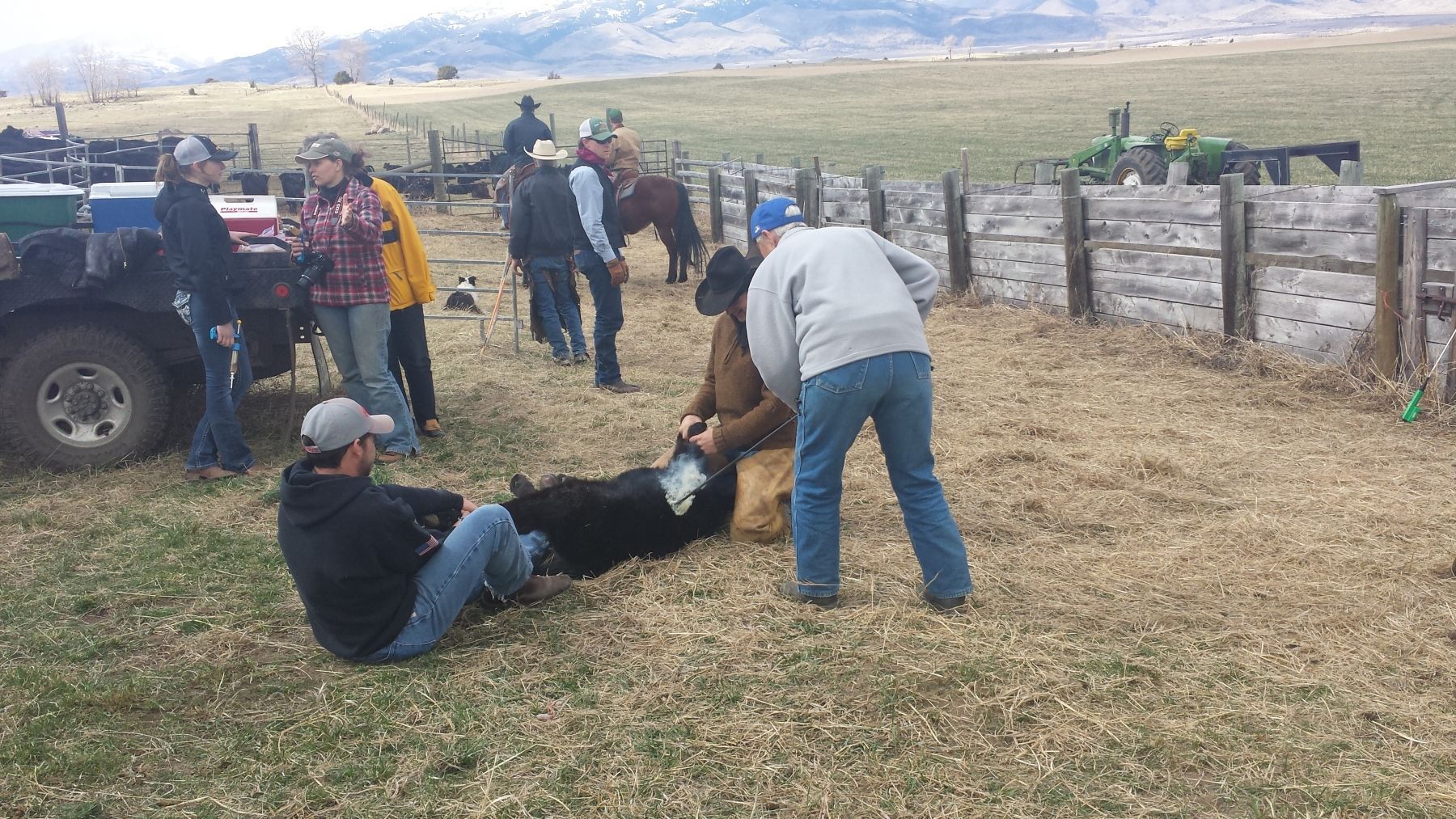 Petrich Ranch Photo
