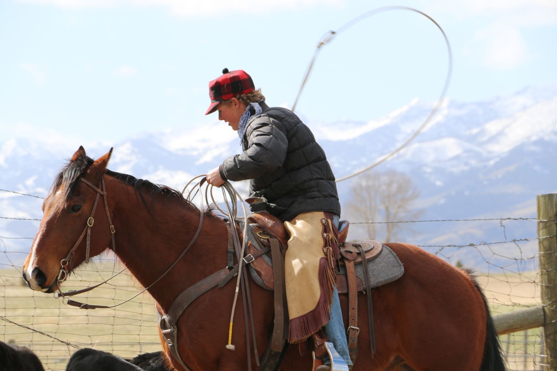 Petrich Ranch Photo