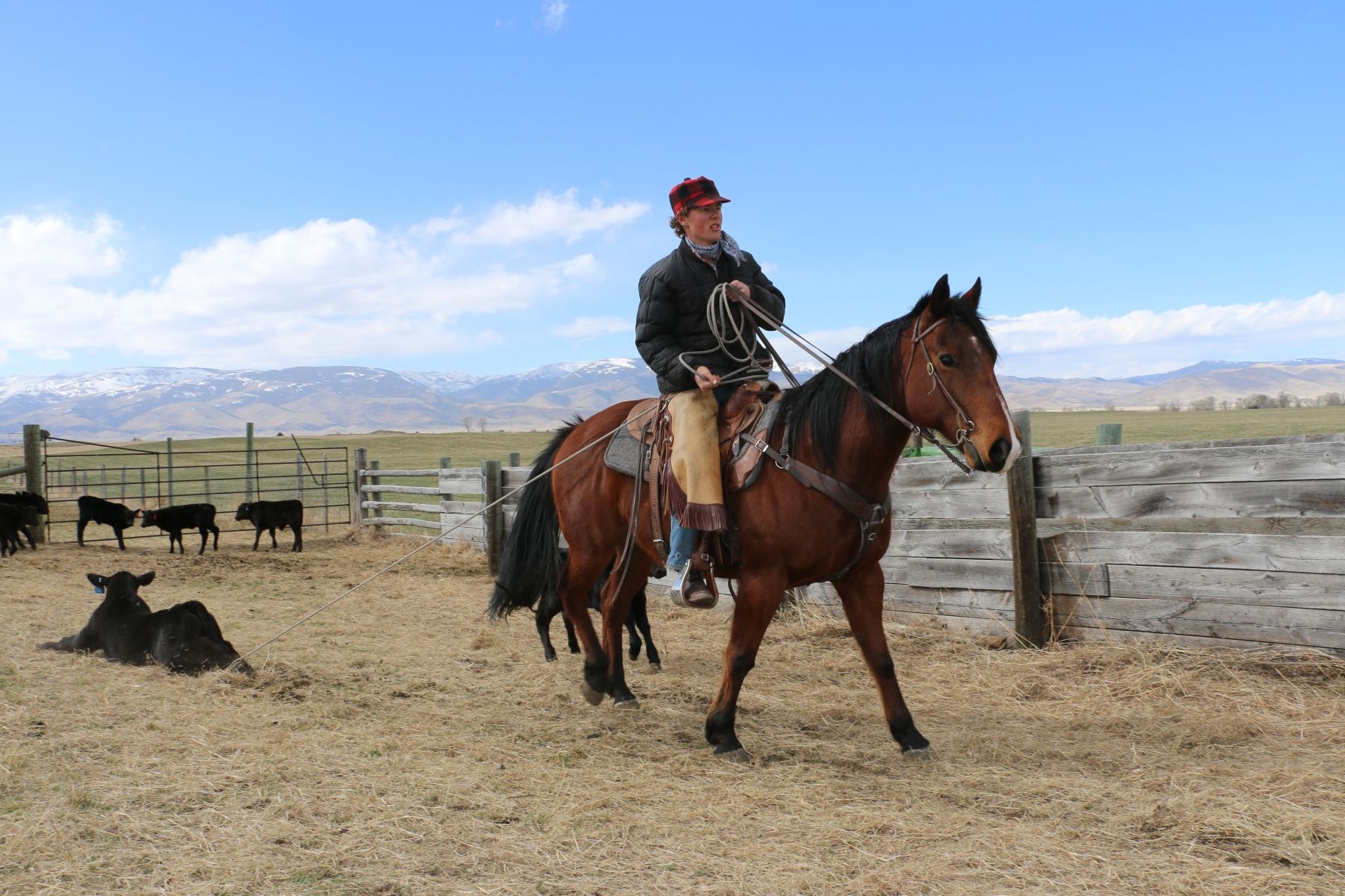 Petrich Ranch Photo