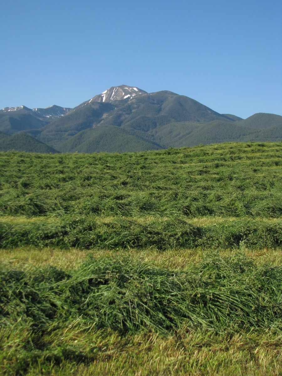 Petrich Ranch Photo