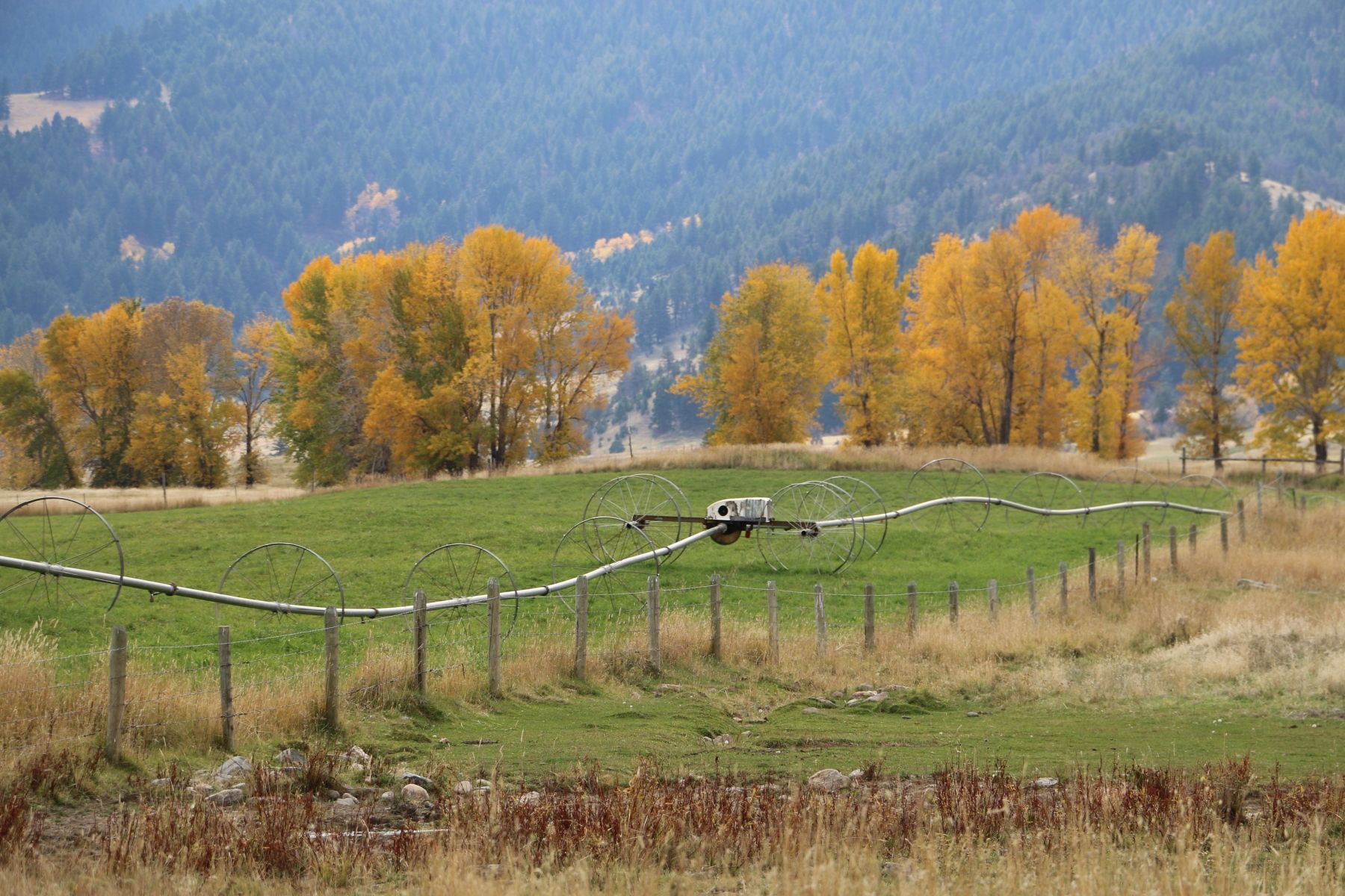 Petrich Ranch Photo