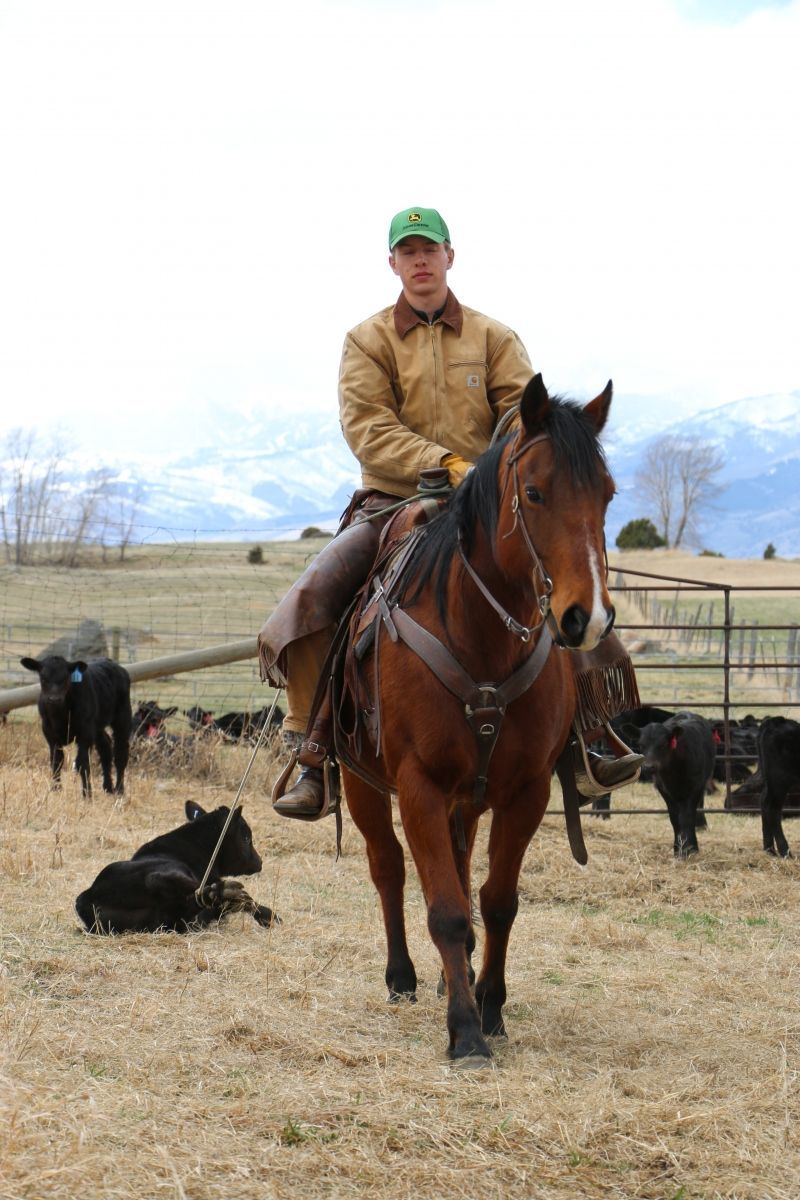 Petrich Ranch Photo