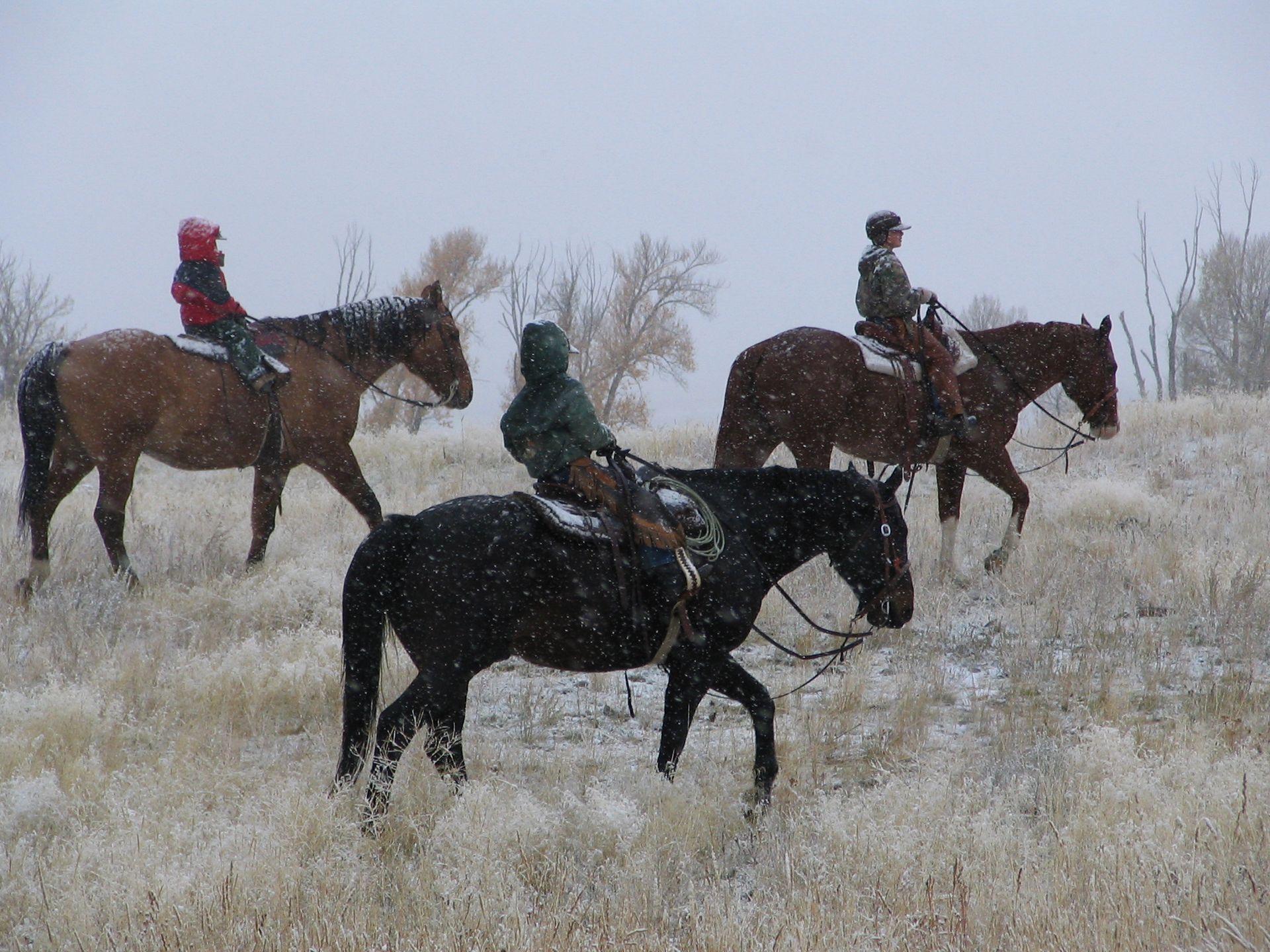 Petrich Ranch Photo