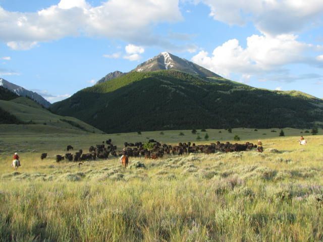 Petrich Ranch Photo