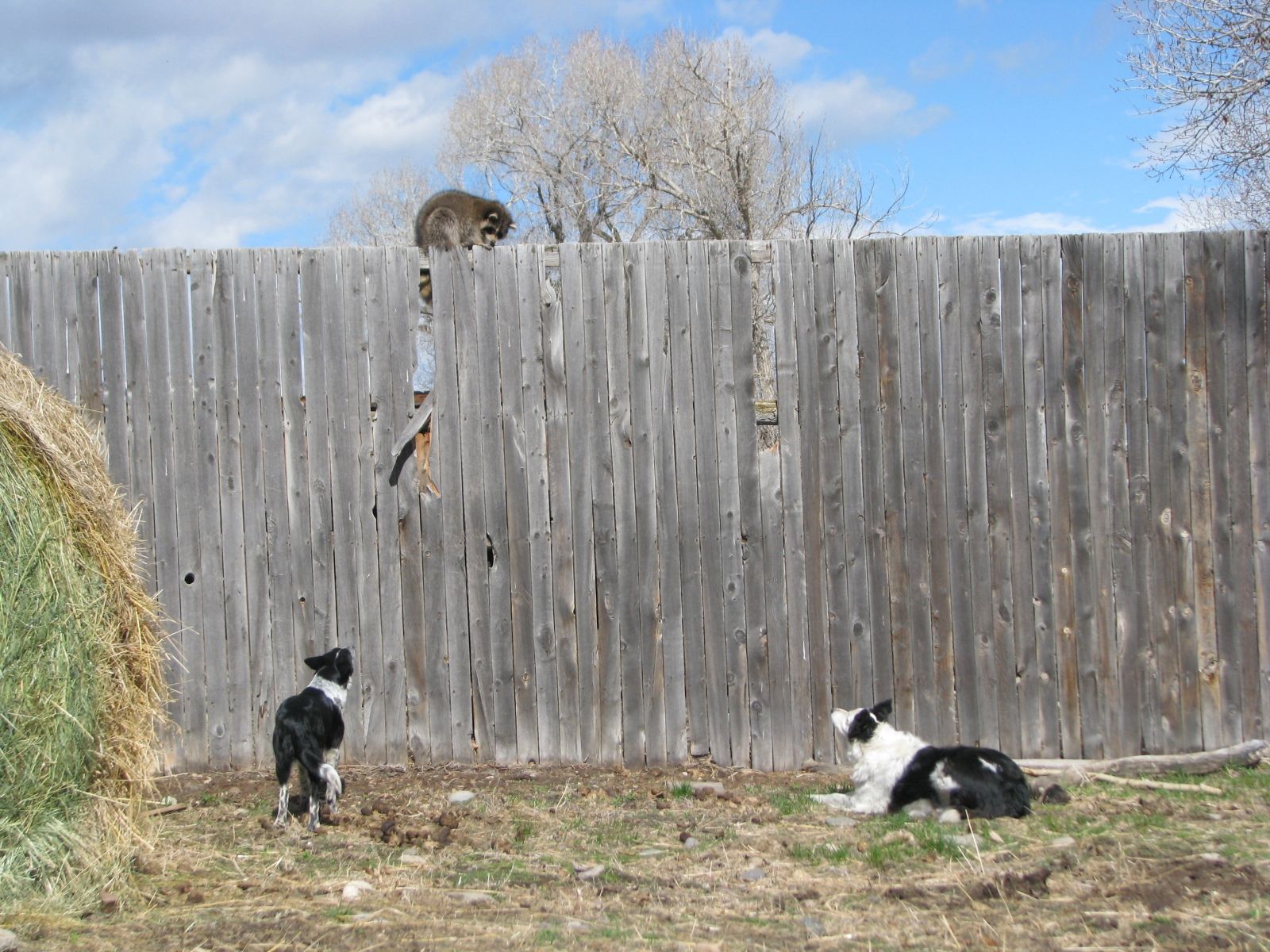 Petrich Ranch Photo