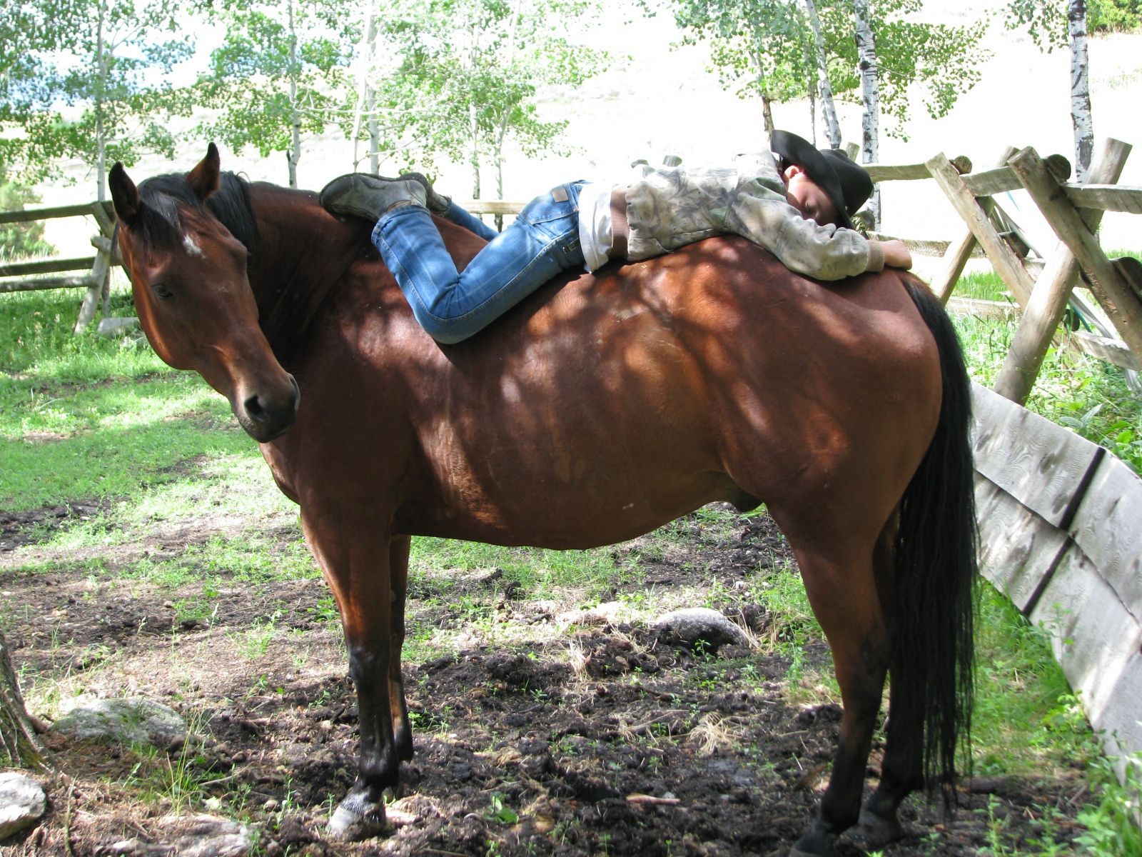 Petrich Ranch Photo